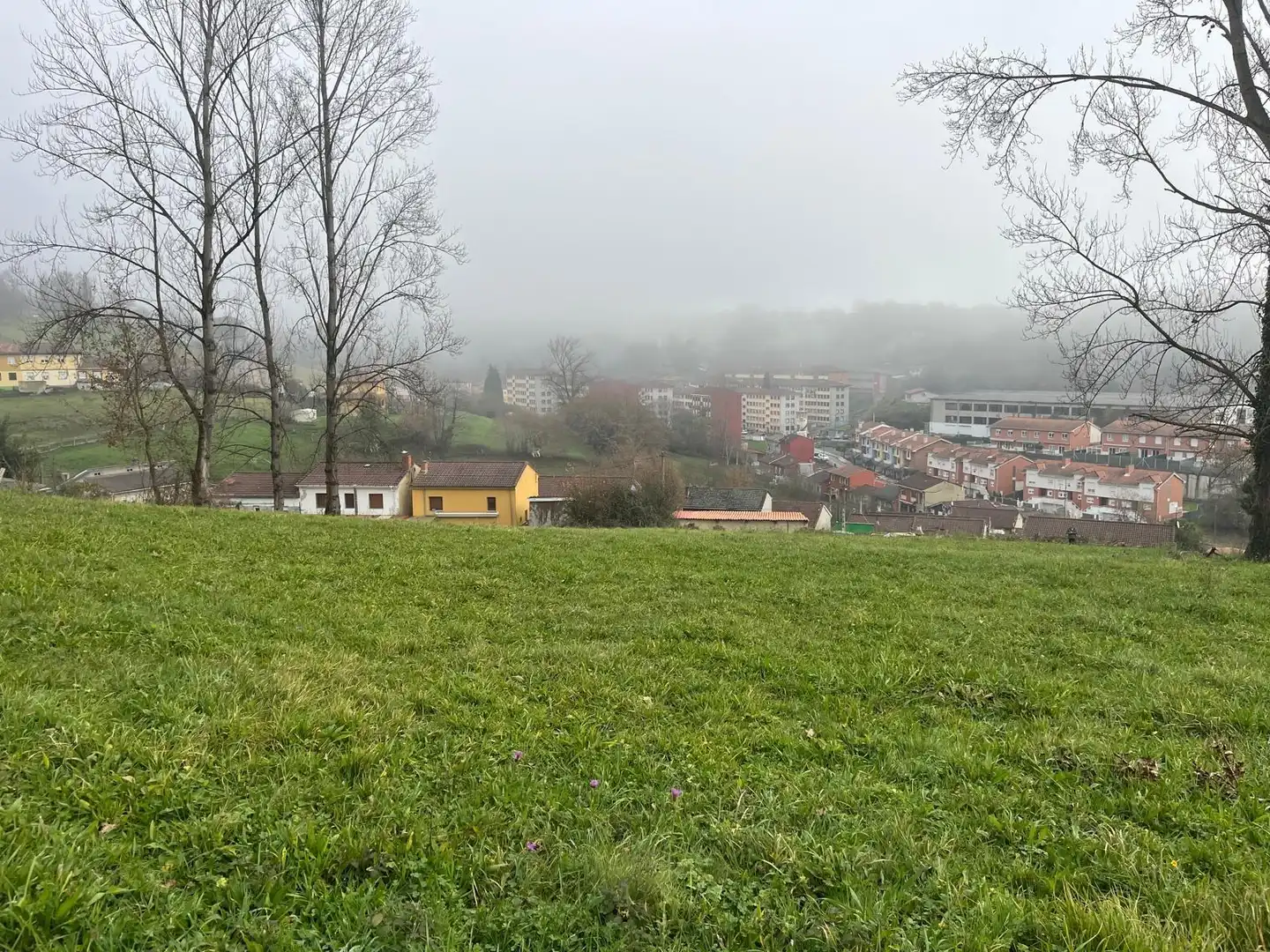 Residential land for sale in Polígono 11 Parcela 298 MATA LA FAME. LANGREO (AS 11, imagen 5