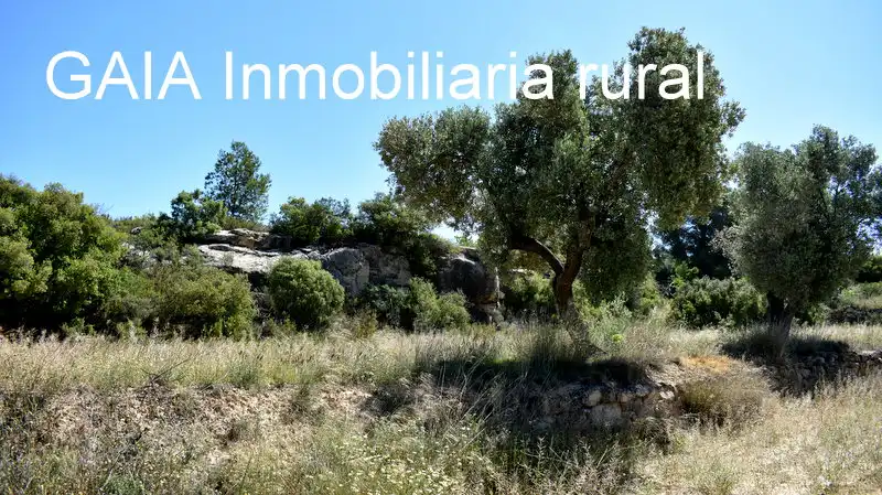 Finca rústica en venta en Maella