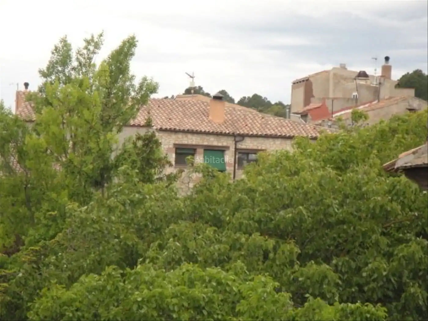 Locale commerciale in vendita a Carrer Font 1