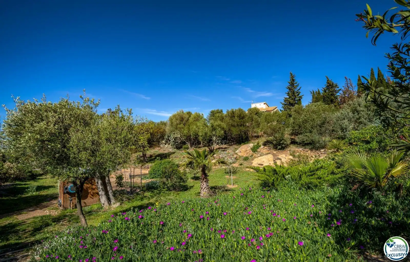 Jardí de Casa o xalet en venda en Palau-saverdera amb Aire condicionat, Calefacció i Terrassa