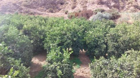 Foto 5 de Terreny en venda a Al-450, Alhabia, Almería