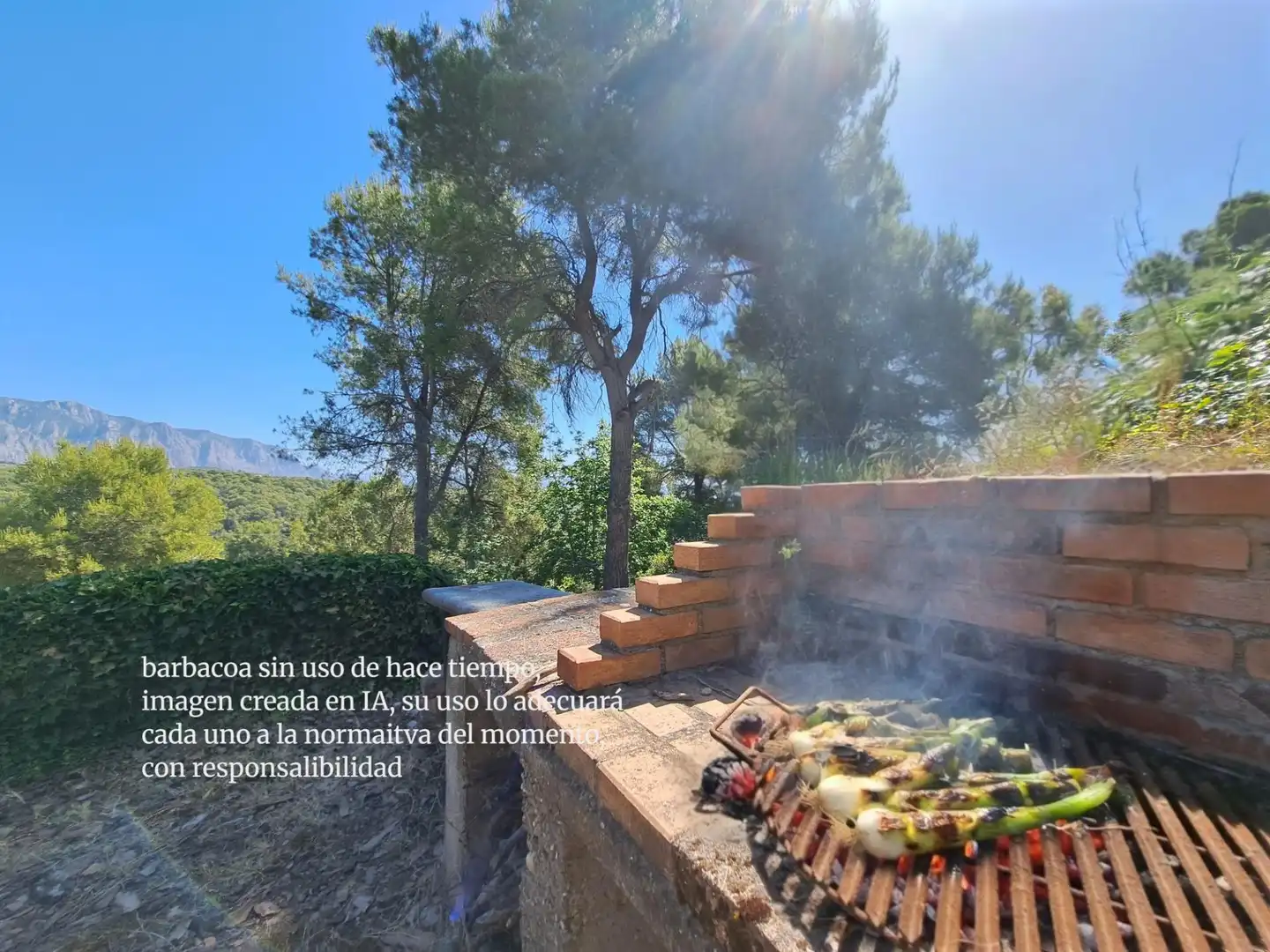 Jardín de Casa o chalet en venta en Els Hostalets de Pierola con Calefacción, Jardín privado y Trastero