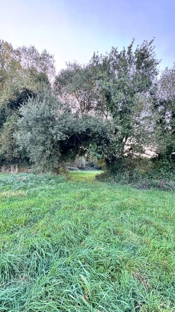 Casa amb jardí en venda a Bocixa, imagen 69