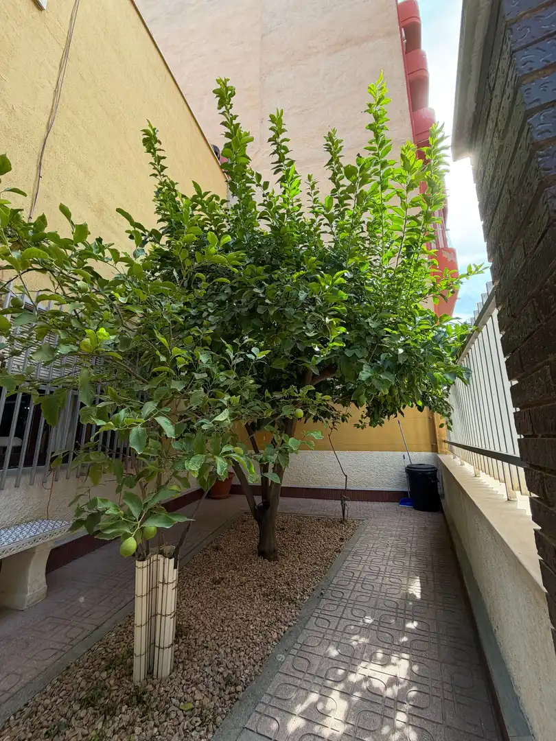 Casa con giardino in vendita a Monóvar  / Monòver, imagen 4