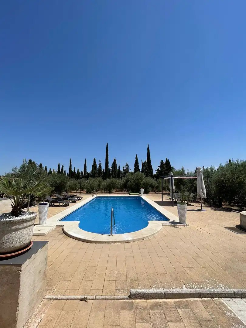 Piscina de Casa o chalet en venta en Ciudad Real con Aire acondicionado, Calefacción y Terraza