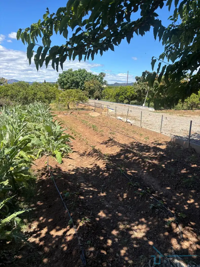 Finca rústica en venta en Corinto - Almarda