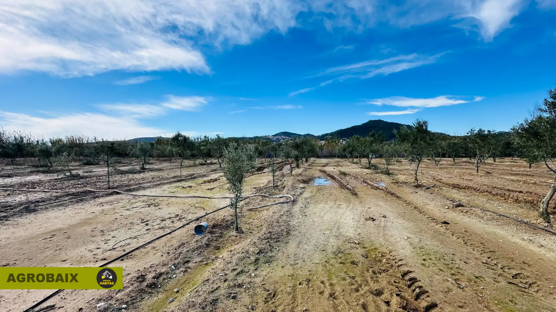 Land for sale in Sant Joan Despí