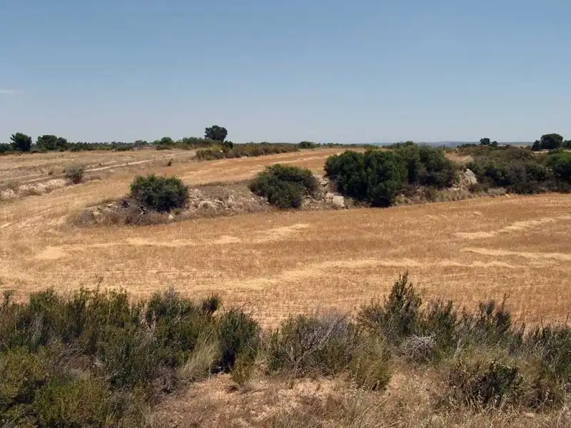 Finca rústica en venta en Alcañiz