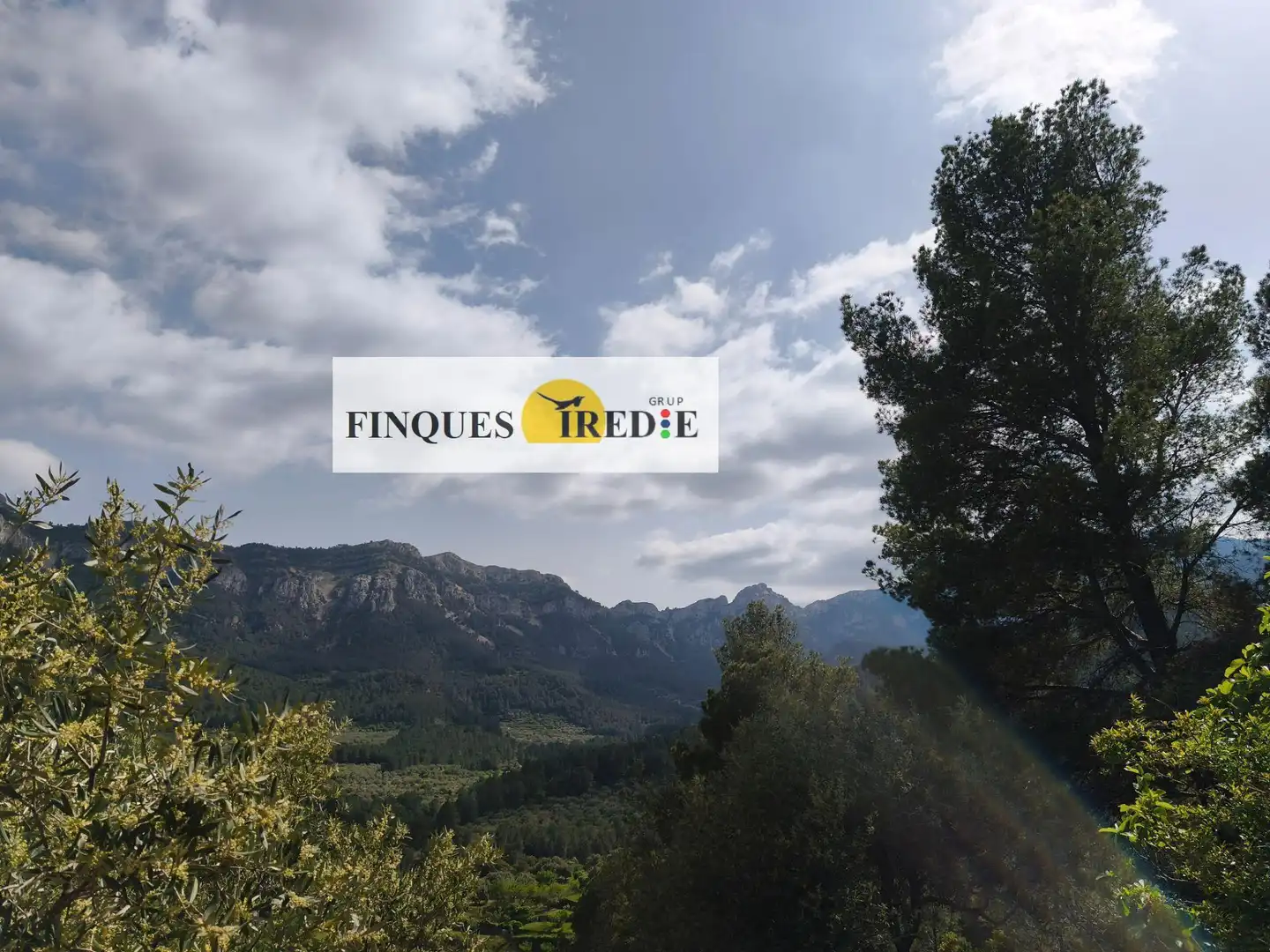 Casa en venta en Alfara de Carles, imagen 4