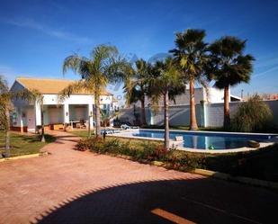 Piscina de Finca rústica en venda en Los Palacios y Villafranca amb Piscina comunitària