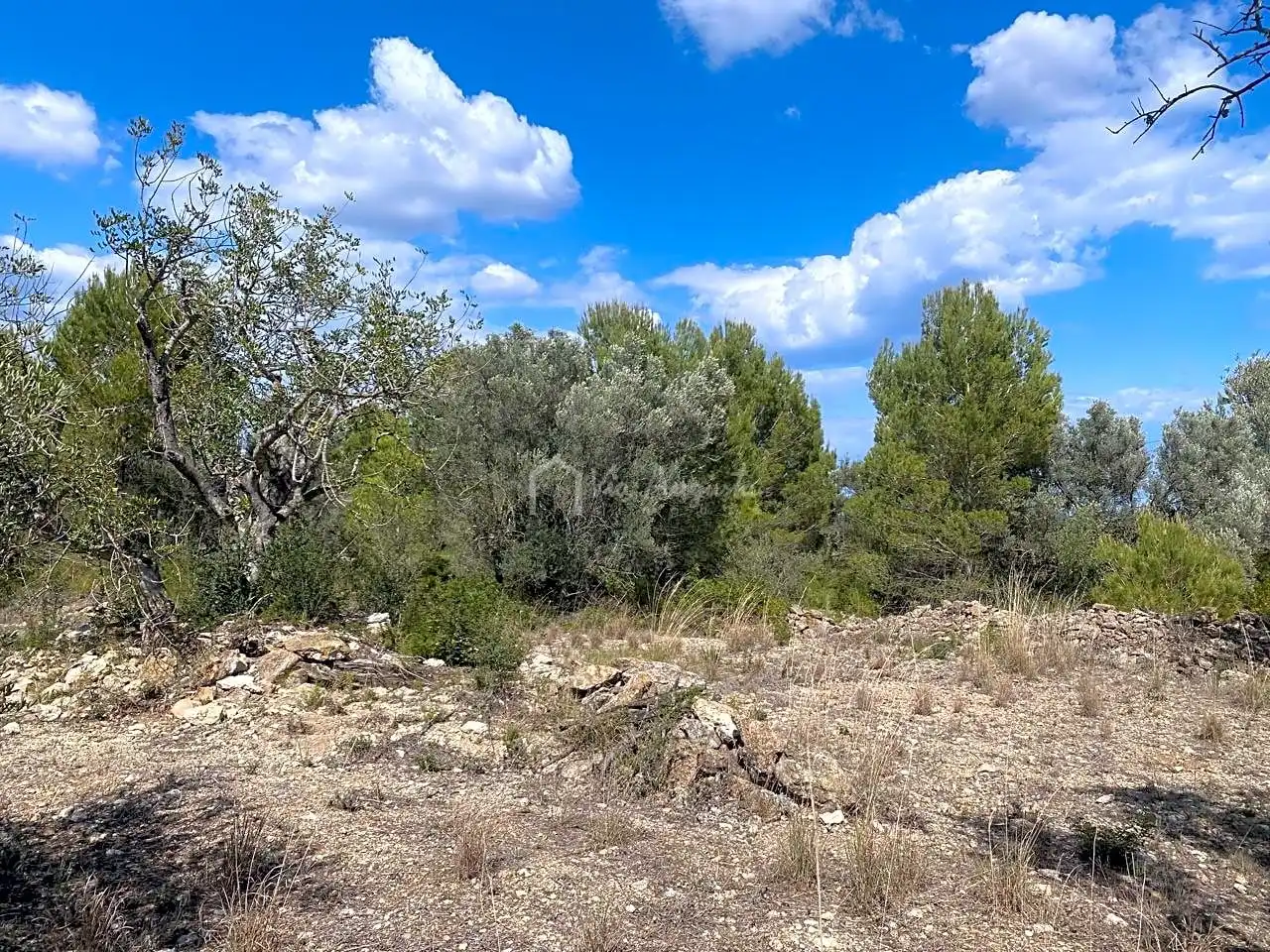 Terreno rustico in vendita a Ligallo de les Bordes, imagen 11