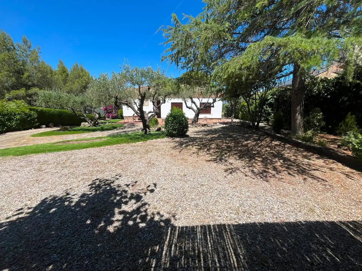 Jardí de Casa o xalet de lloguer en Gelida amb Jardí privat, Traster i Piscina