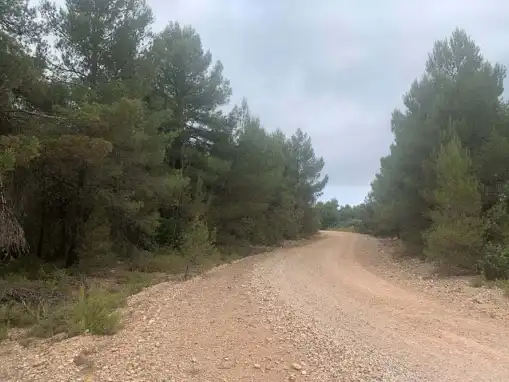 Rustikales Grundstück zum Verkauf in Paraje Fuentecil, imagen 10