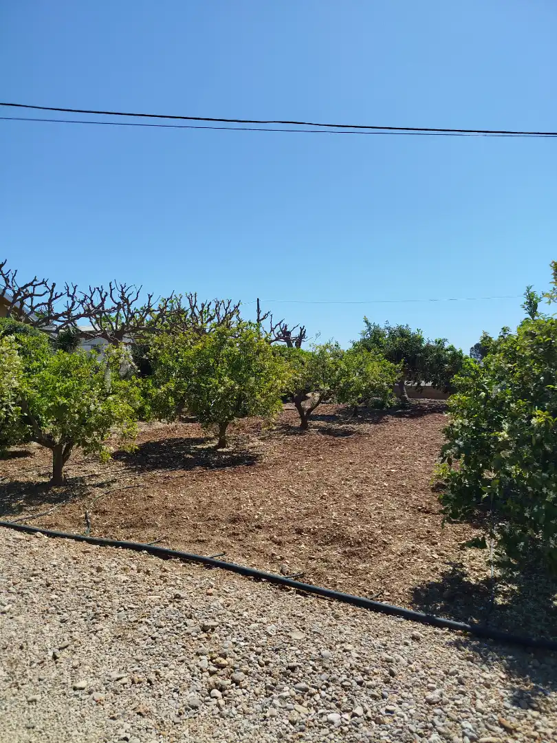 Terreno residencial en venta en Pueblo, imagen 8