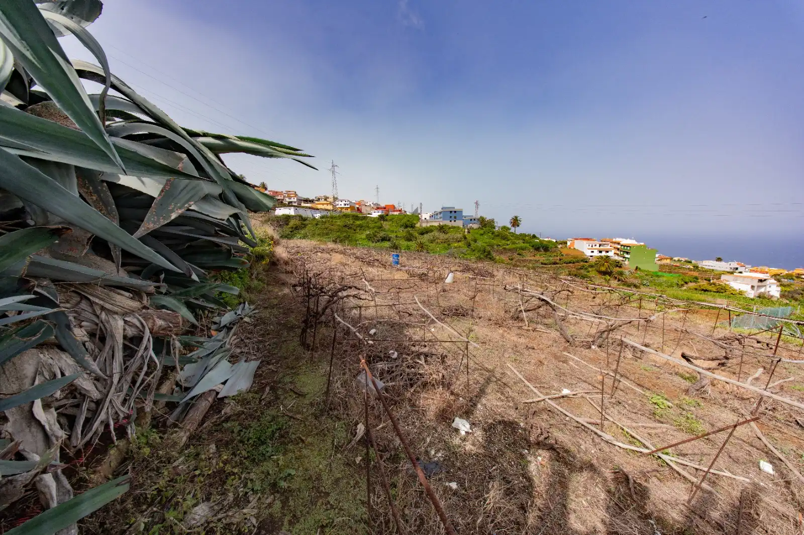 Casa o chalet en venta en Santa Úrsula con Terraza