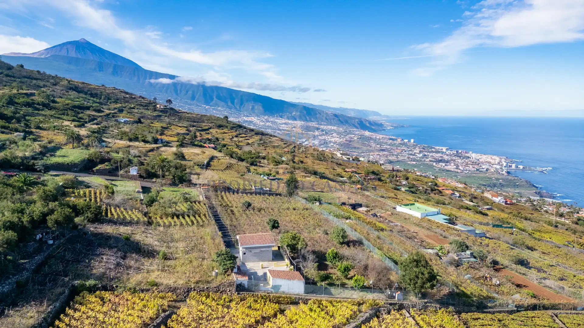 Vista exterior de Finca rústica en venda en Santa Úrsula amb Terrassa