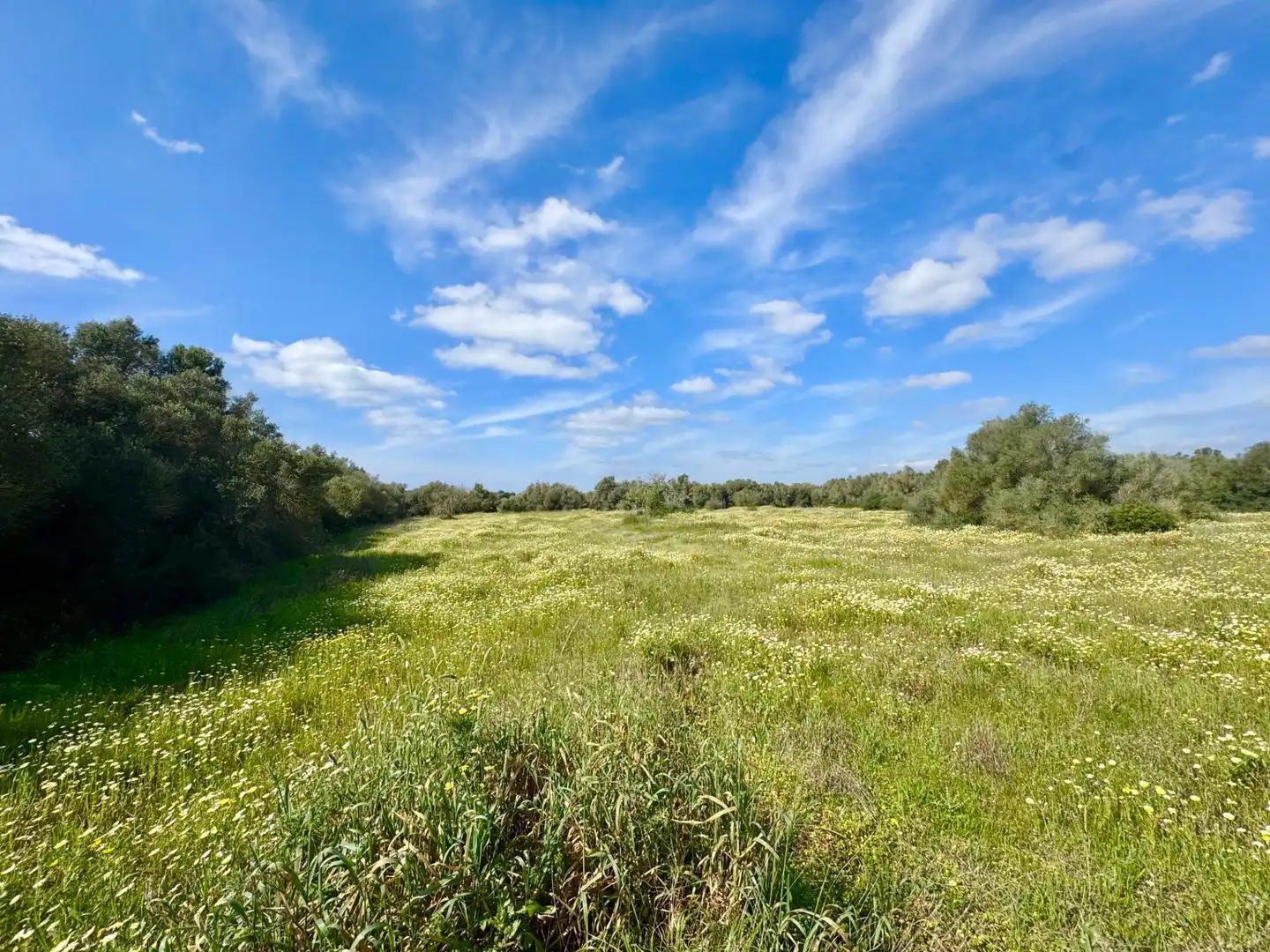 Residential land for sale in parcela 27 del polígono 22. Campos, imagen 3
