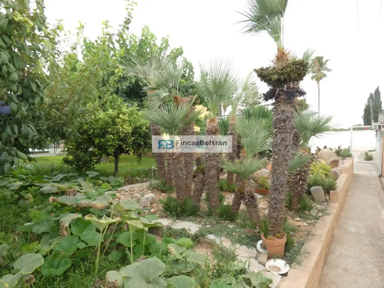 Jardí de Casa o xalet en venda en Benicarló amb Aire condicionat, Calefacció i Jardí privat
