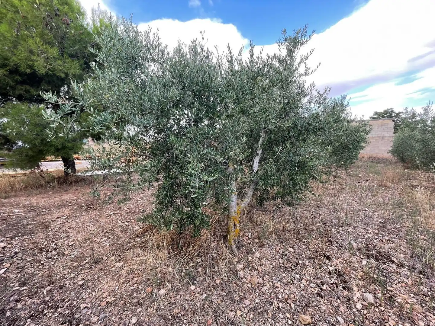 Terreni e lotti in vendita a santa catalina, imagen 7