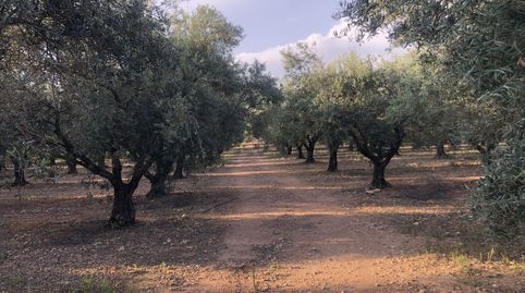 Terreno en venta en Hellín., immagine 4