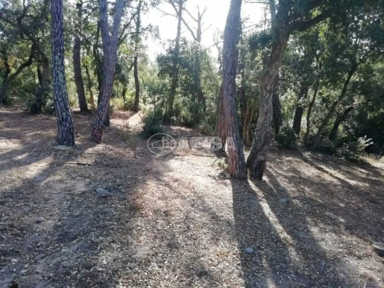 Casa rústica con piscina en venta en Maçanet de la Selva pueblo, imagen 8