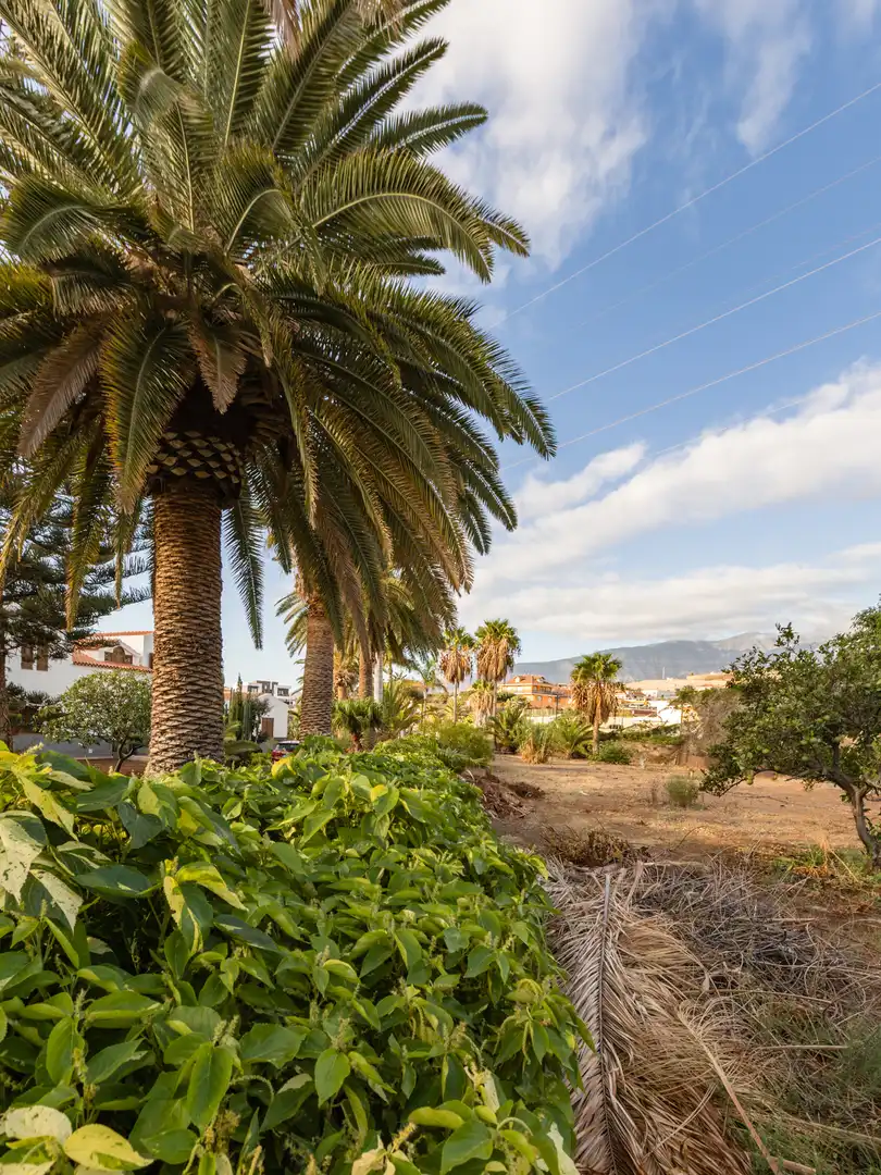 Vista exterior de Casa o xalet en venda en Candelaria amb Aire condicionat, Jardí privat i Terrassa