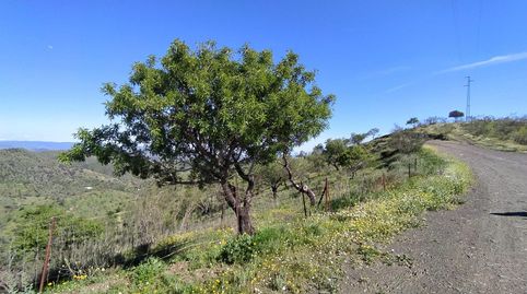 Foto 2 de Terreno en venta en Cártama, Málaga