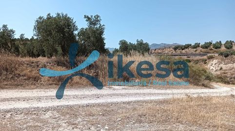 VENTA DE FINCA RÚSTICA EN JÓDAR JAÉN