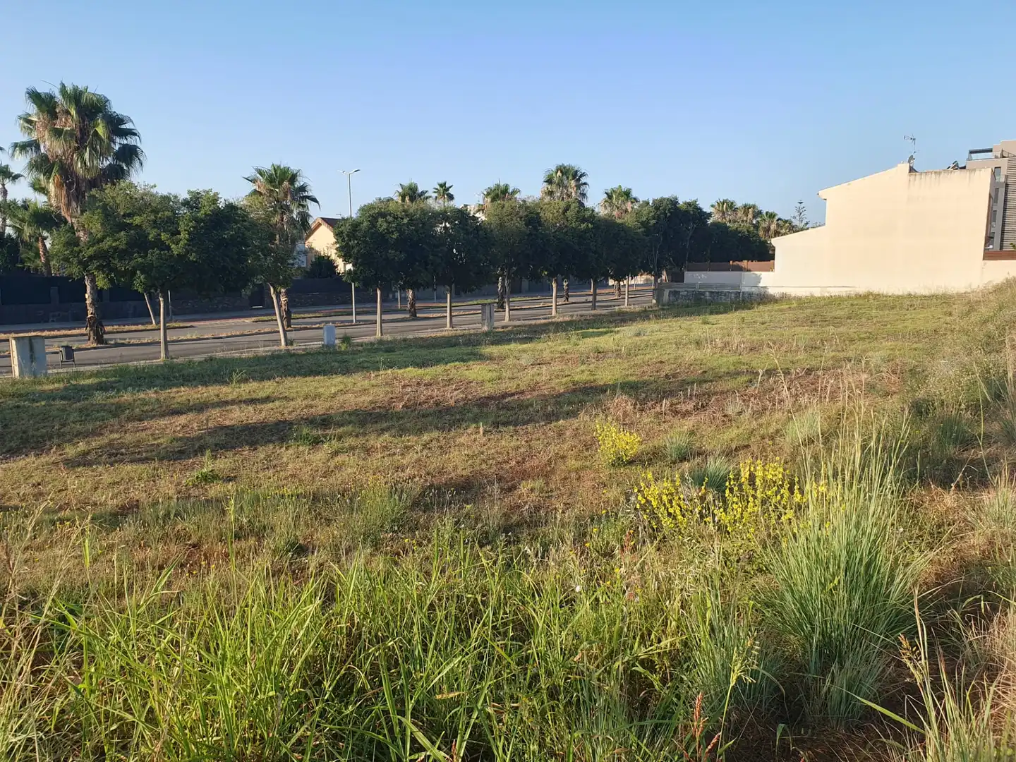 Terreny residencial en venda a Ronda Ibèrica 252, imagen 8