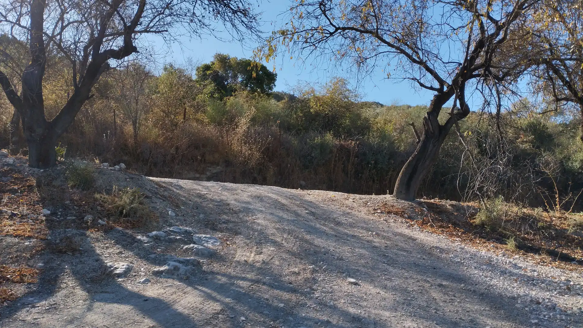 Land for sale in Cabra