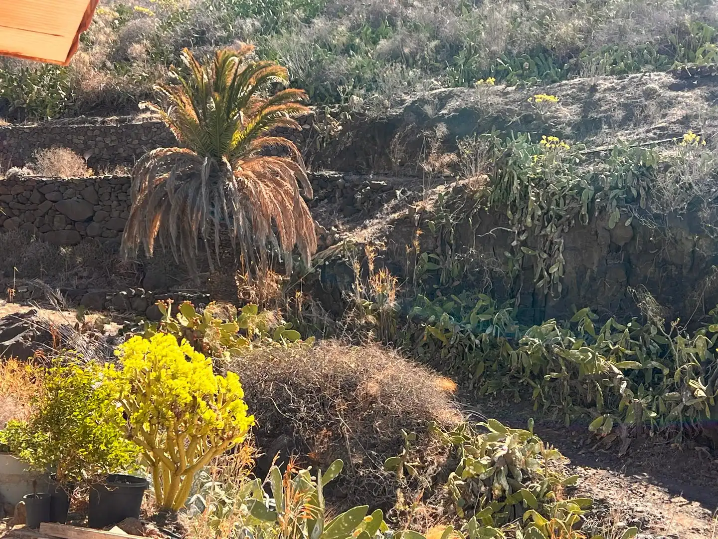 Jardín de Terreno en venta en Cidamón