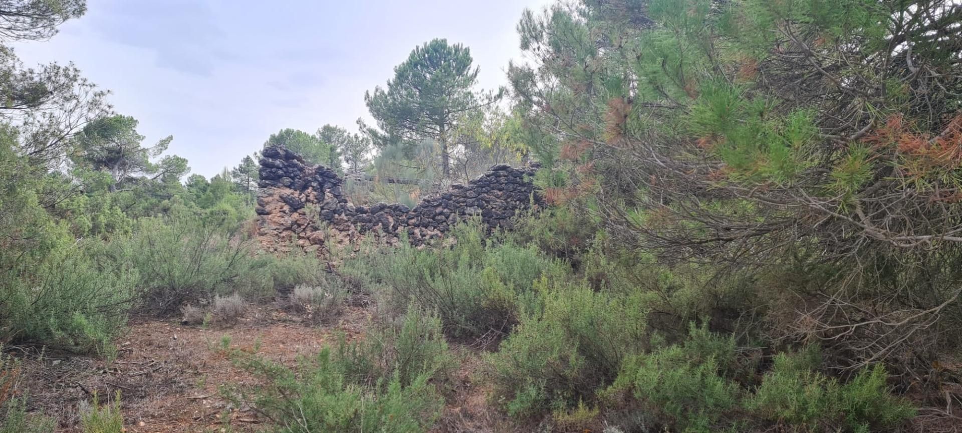 Residential for sale in Molinicos