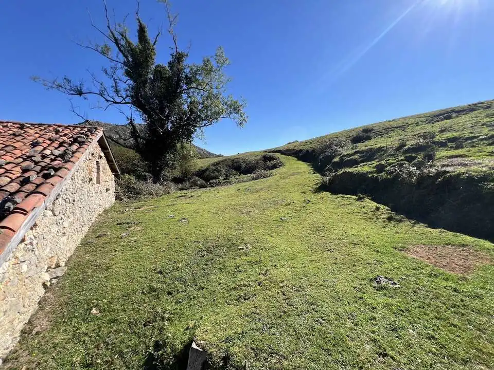 Maison à vendre à Nava, imagen 8