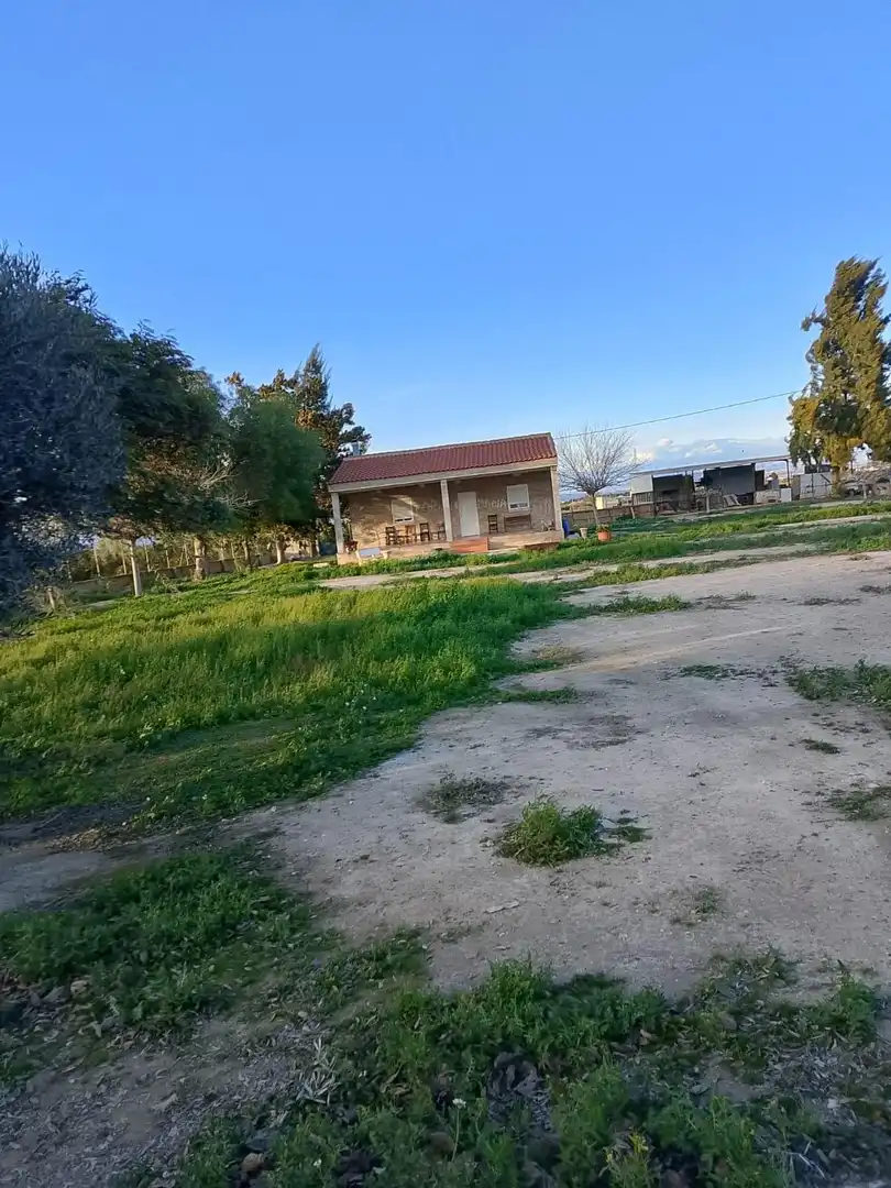 Finca rústica en venta en Daya Nueva