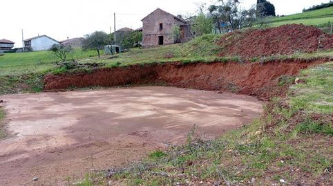 CarreñoTerreno