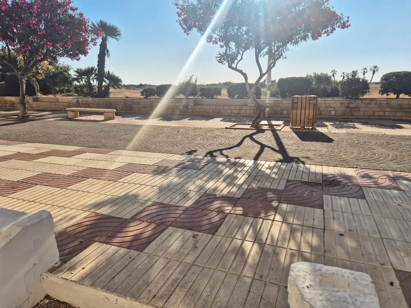 Terraza de Local en venta en Canet d'En Berenguer