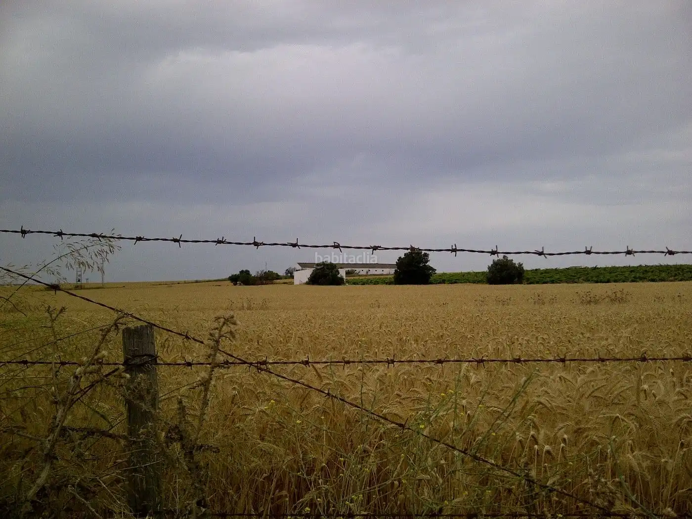 Rural land for sale in Diseminado Villamiel 2, imagen 2