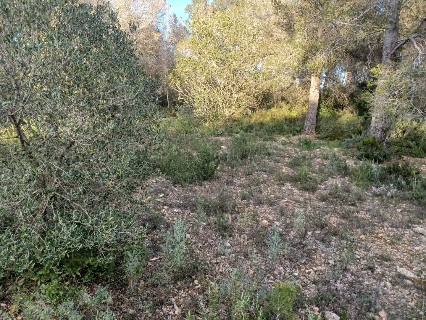 Terreno residencial en venta en dels Morts