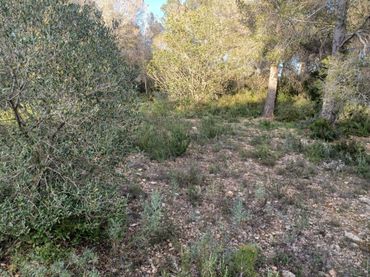 Terreno residencial en venta en dels Morts