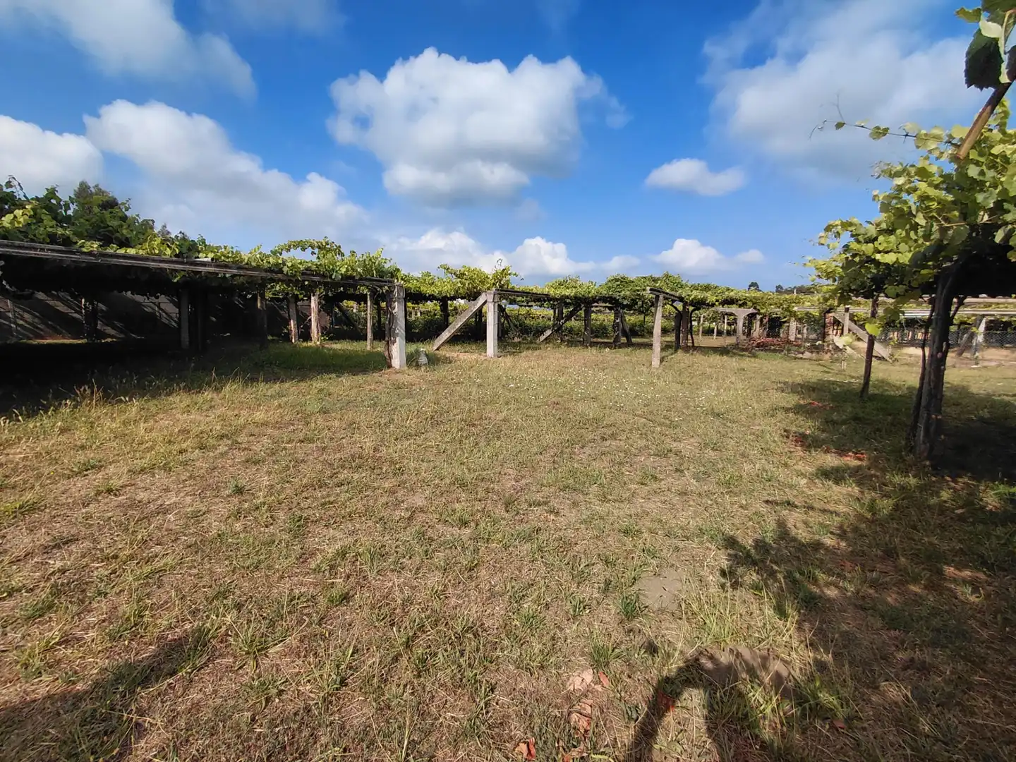 Finca rústica en venda en Cambados amb Calefacció, Jardí privat i Forn