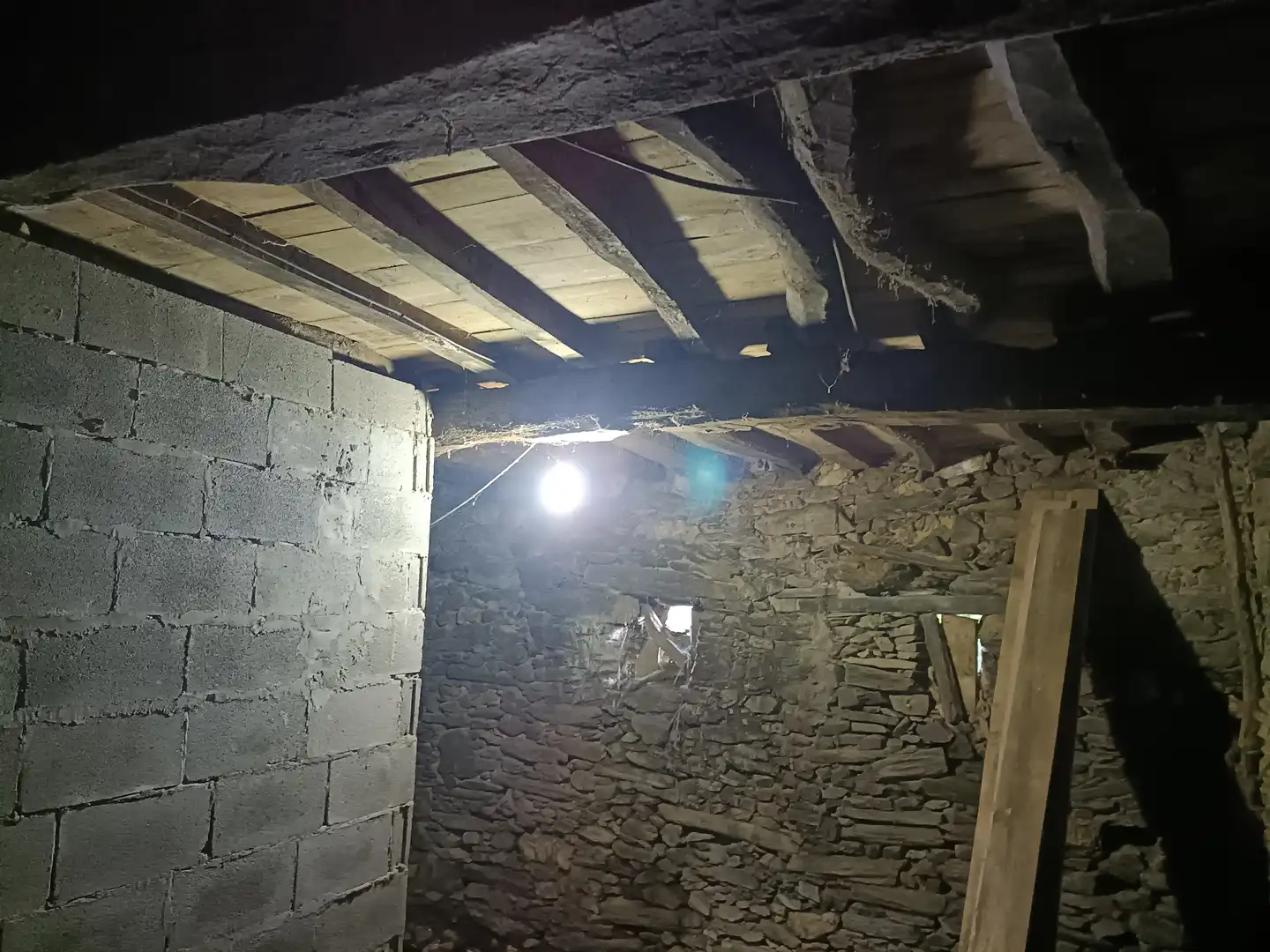 Casa o xalet en venda en Cesuras amb Jardí privat