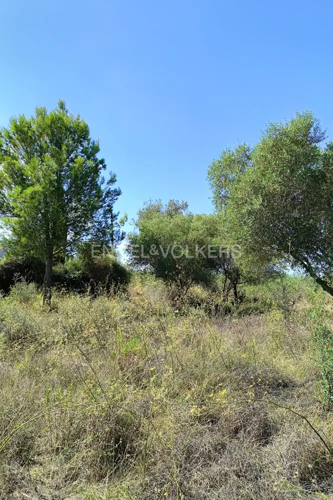 Terrenys i solars en venda a Pedreguer, imagen 6