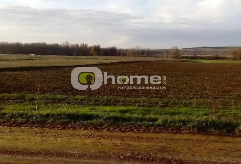 Land for sale in Villalobos