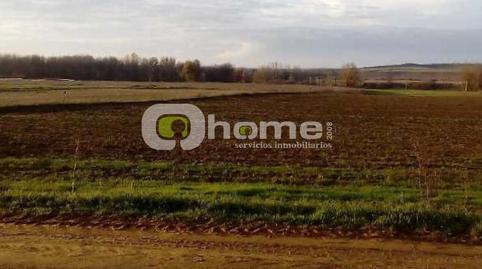 Photo 4 of Land for sale in Villalobos, Zamora