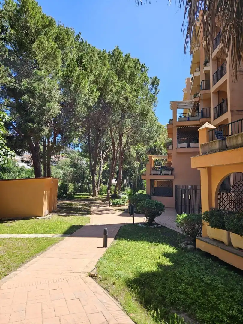 Apartment with pool for sale in Las Gaviotas  - Carvajal, imagen 35