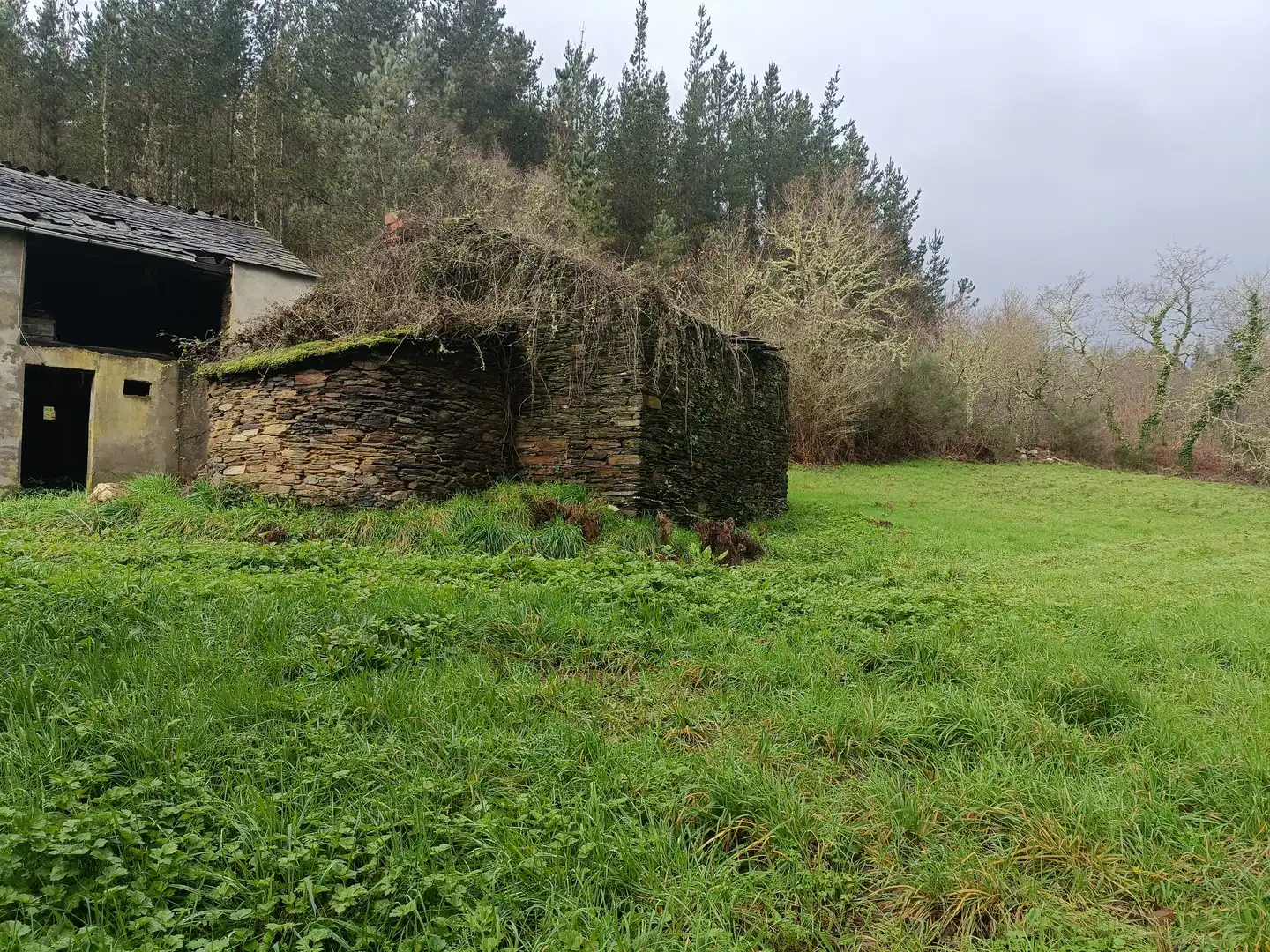 Vista exterior de Casa o xalet en venda en Guitiriz amb Jardí privat