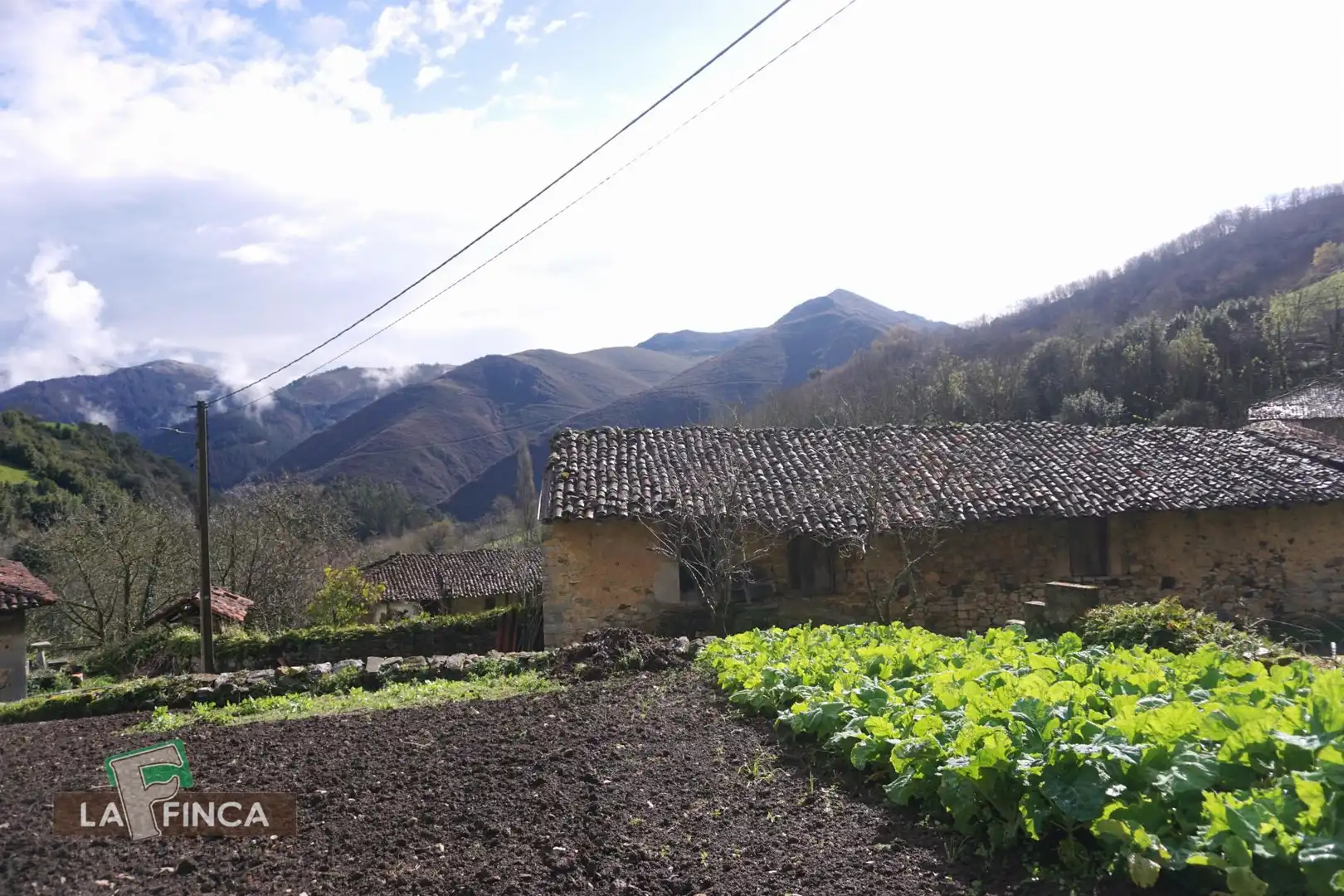 Jardín de Casa o chalet en venta en Belmonte de Miranda