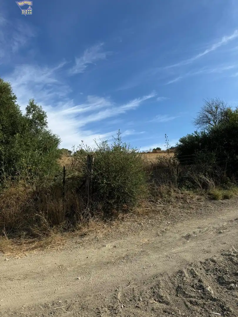 Terreny rústic en venda a Arcos de la Frontera, imagen 3