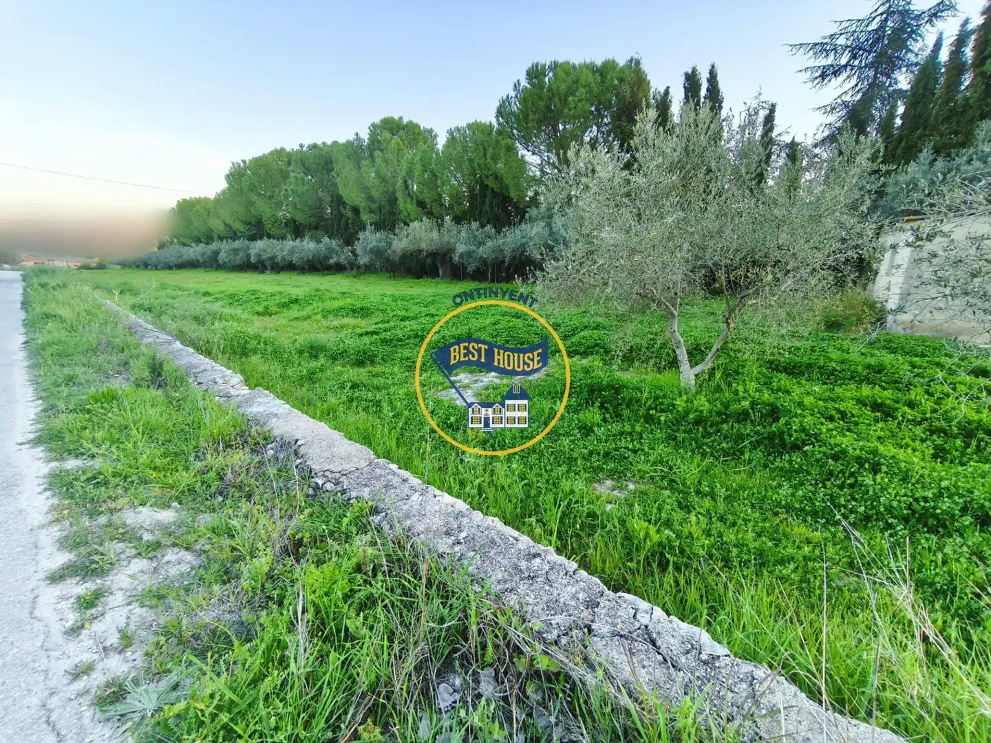 Rural land for sale in El Pilar, imagen 3