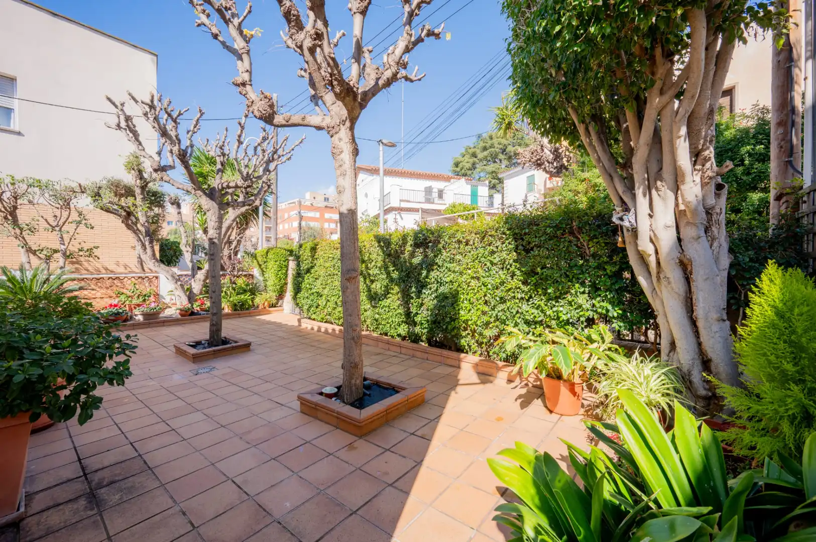 Jardín de Casa o chalet en venta en Mataró con Calefacción, Jardín privado y Terraza